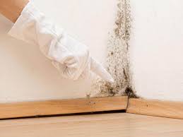 Best Attic Mold Removal  in Shenandoah Heights, PA